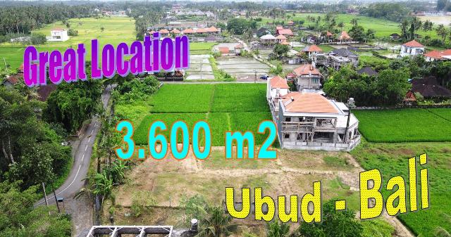 Beautiful Sukawati Ubud BALI 3,600 m2 LAND for SALE TJUB836