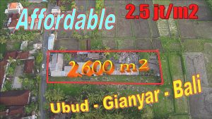 Affordable PROPERTY 2,600 m2 LAND in UBUD for SALE TJUB848
