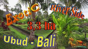 FOR SALE Magnificent PROPERTY 33,000 m2 LAND in Sukawati Ubud BALI TJUB857