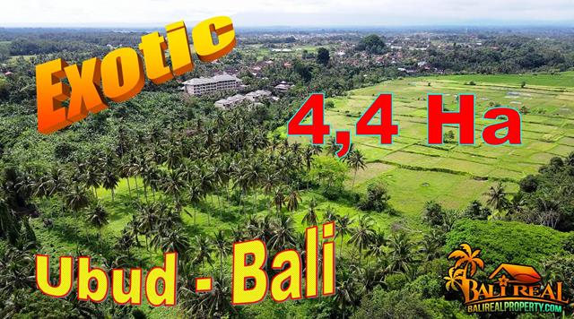 Exotic 44,000 m2 LAND in Ubud BALI for SALE TJUB858