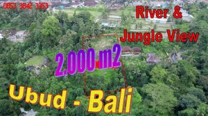 Exotic 2,000 m2 LAND in Tegalalang Ubud BALI for SALE TJUB867