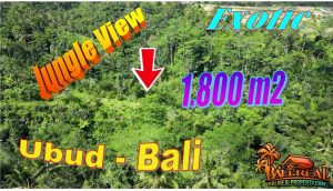 Beautiful PROPERTY LAND in Ubud Tegalalang BALI for SALE TJUB872