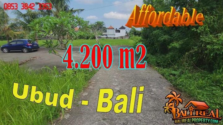 FOR SALE Affordable PROPERTY LAND in Sukawati Ubud TJUB868