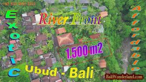 FOR SALE Magnificent LAND IN Sukawati UBUD BALI TJUB880